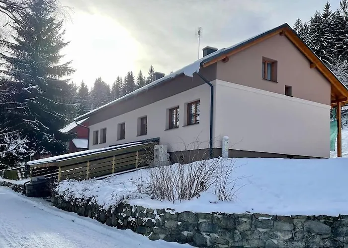Srni-Modry Podkrovi Byt /Dvojdomek U Hotelu Vydra
