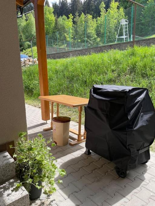 Srni-modry Podkrovi /dvojdomek U Vydra Апартаменти *